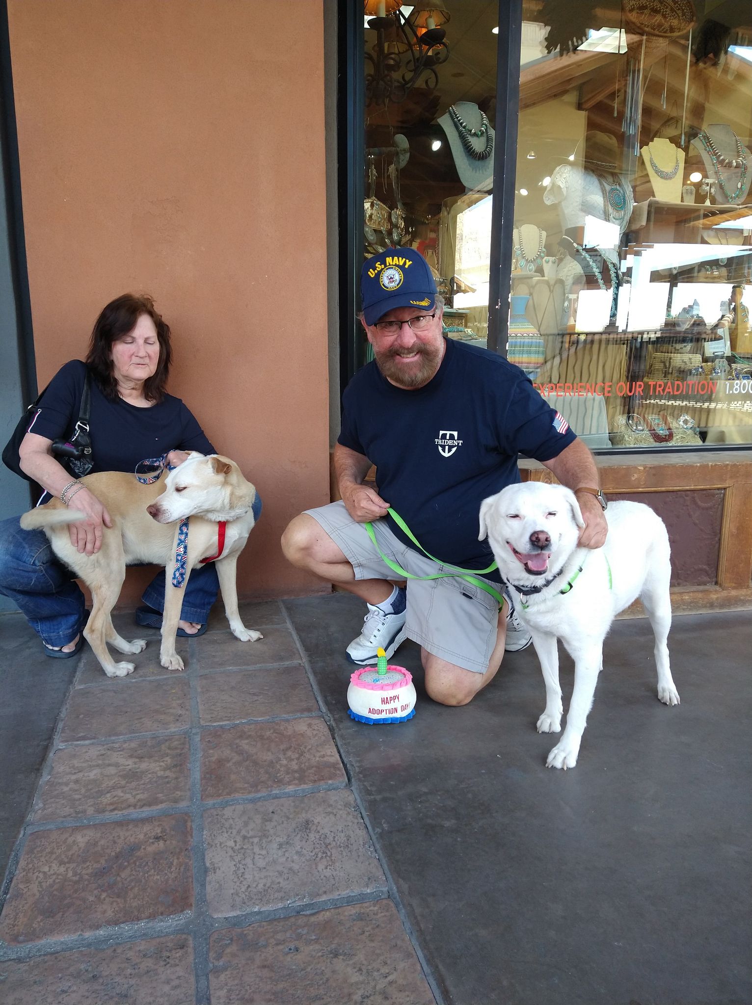 Dogs Adopted! TUCSON RESCUE NOW